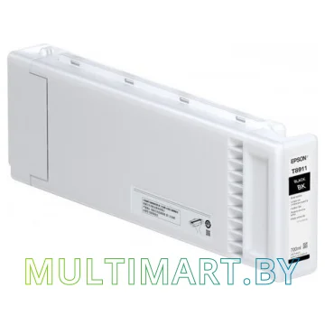 Картридж Epson C13T891100